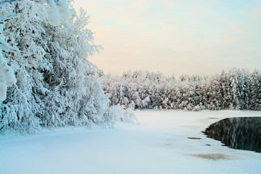 Similar image 541041