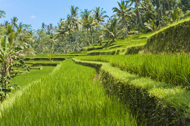 Similar image 541107