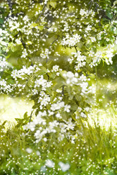 Similar image 541212