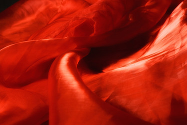 Similar image 541233