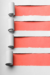 Similar image 541326