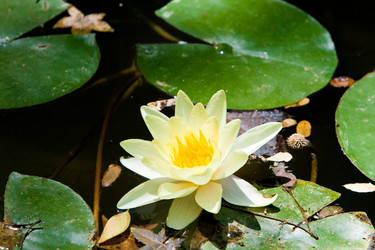 Similar image 541365