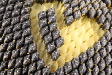 Similar image 541485