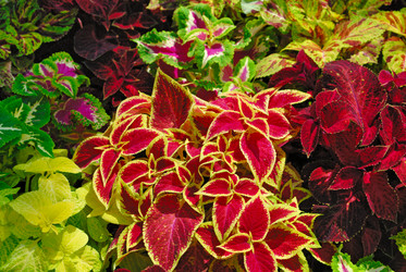 Similar image 541514