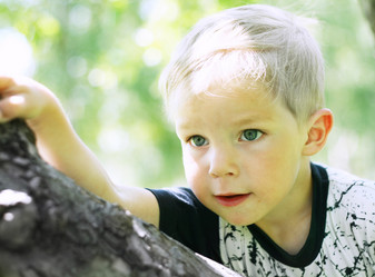 Similar image 541516