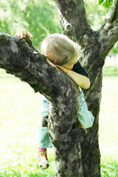 Similar image 541527