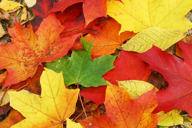 Similar image 541560