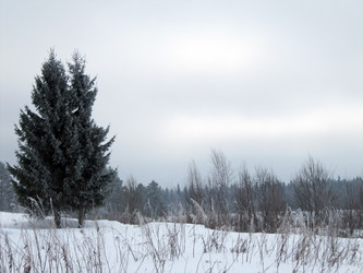 Similar image 541635