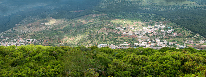 Similar image 541658