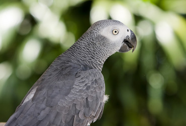 Similar image 541672