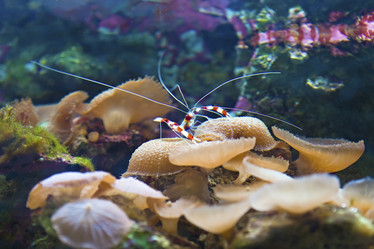 Similar image 541678