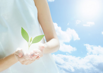 Similar image 541693