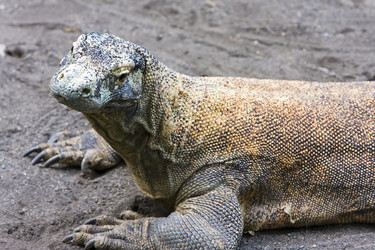 Similar image 541706