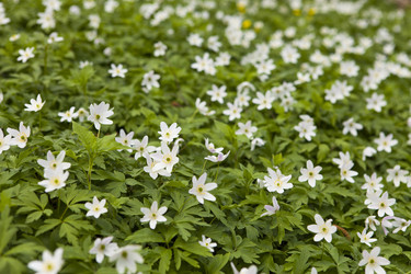 Similar image 541713