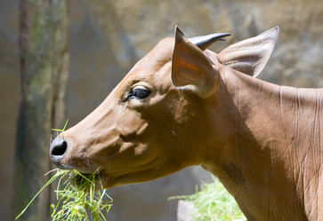 Similar image 541721