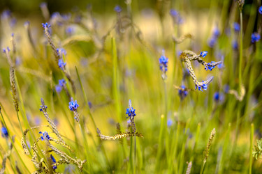 Similar image 541858