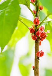 Similar image 541891