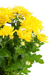 Similar image 541904