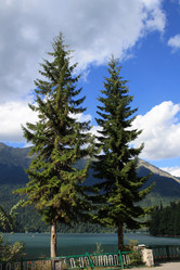 Similar image 541932