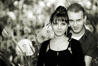 Similar image 541934