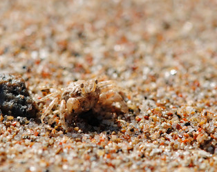 Similar image 541943