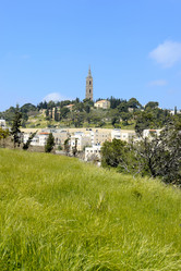 Similar image 541950