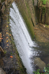 Similar image 542065