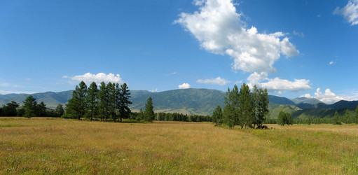 Similar image 542100