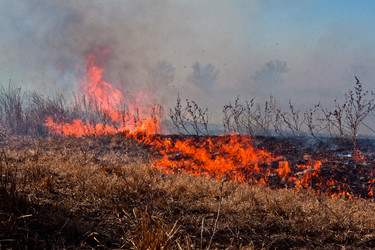 Similar image 542140