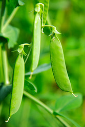 Similar image 542154