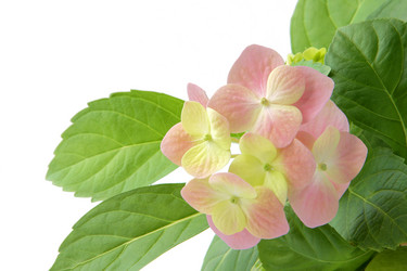 Similar image 542158