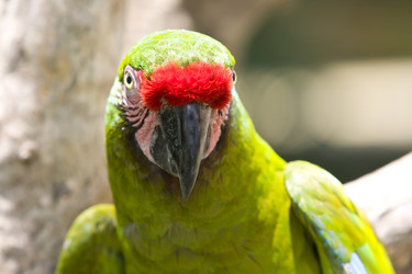 Similar image 542180