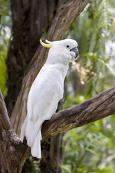 Similar image 542202