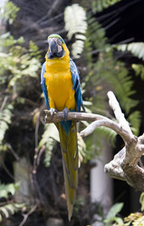 Similar image 542204