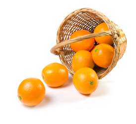 Similar image 542231