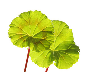 Similar image 542311