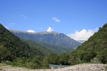 Similar image 542377