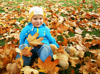 Similar image 542504