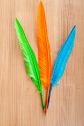 Similar image 542539