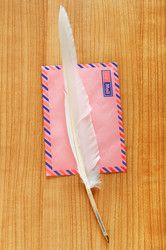 Similar image 542561