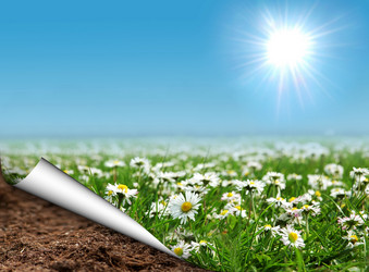 Similar image 542562