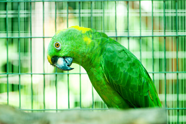 Similar image 542570