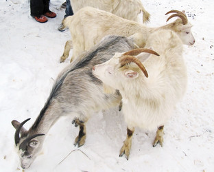 Similar image 542874