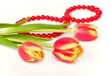 Similar image 542889