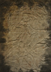 Similar image 542909