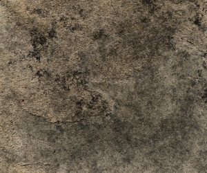 Similar image 542913