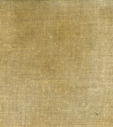 Similar image 542925