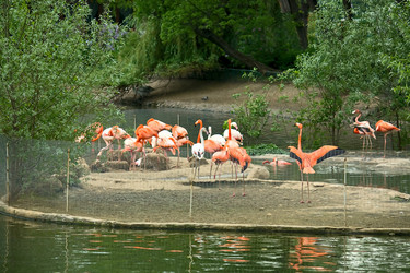 Similar image 542945