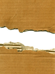 Similar image 542977