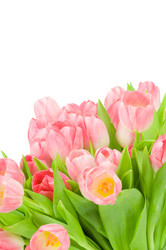 Similar image 542996